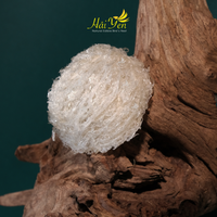 500 Grams - Yến Sào Thiên Nhiên Cao Cấp (Special) + Bộ Quà Tặng